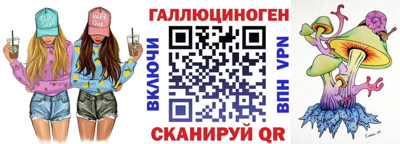 Галлюциногенные грибы Psilocybine cubensis  Купить  Грайворон 